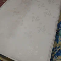 شرکت خدماتی قالیشویی ومبلشویی رویال(قالی ومبل شویی|خدمات نظافت|اردبیل, |دیوار