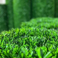 چمن مصنوعی و فنس (برگی ریشه ایی )  جزئی و عمده|مصالح و تجهیزات ساختمان|نوشهر, |دیوار