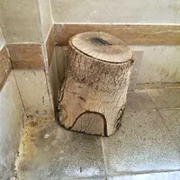 کنده درخت|صنایع دستی و سایر لوازم تزئینی|اصفهان, شفق|دیوار