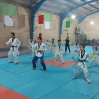 آموزش هنر رزمی تکواندو پسران و دختران|خدمات آموزشی|سمنان, |دیوار