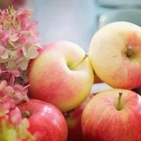 خرید و کمک در امور منزل