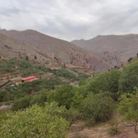 زمین باغ ۶۲۰ متر لواسان بزرگ/جورد/وسکاره/آردینه|فروش زمین و ملک کلنگی|لواسان, |دیوار