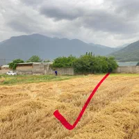 ۵۰۰متر زمین الحاق به بافت دوبر روستای مازیاران|فروش زمین و ملک کلنگی|خان ببین, |دیوار