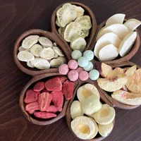 دستگاه خشک کن میوه و بستنی فریزدرایر|ماشینآلات صنعتی|مشهد, راهنمایی|دیوار