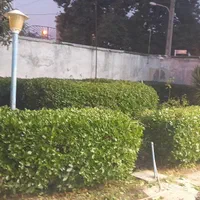 خدمات تخصصی باغبانی و فضای سبز