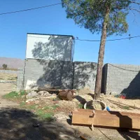 پنج هکتار پسته،زعفرون،زمین کشاورزی سنددار|فروش زمین و ملک کلنگی|شیراز, کفترک|دیوار