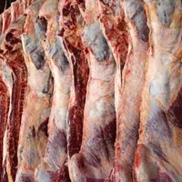 گوشت چرخکرده مخلوط گوساله و گوسفندی کیلو ۲۵۹تومان|خوردنی و آشامیدنی|قم, چهار مردان|دیوار