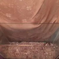 آکواریوم