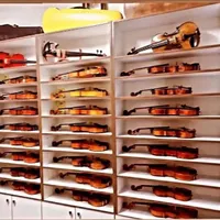 انواع ویولن با ضمانت و هدیه آموزشی
