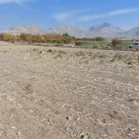 هزارمتر زمین در فیض اباد زیاران کنار اتوبان|فروش دفتر صنعتی، کشاورزی، تجاری|آبیک, |دیوار