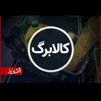 کالا برگ رایگان