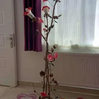 آباژور