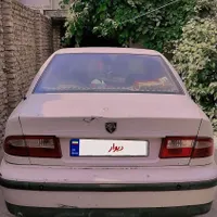 سمند سفید