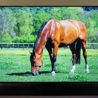 تعمیرات تخصصی تلویزیون‌های LED، LCD|خدمات پیشه و مهارت|شاهین‌شهر, عطار|دیوار