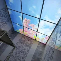 اجرای انواع سقف کاذب|خدمات پیشه و مهارت|چابهار, |دیوار