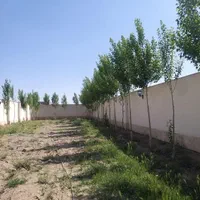 ۵۰۰مترداخل بافت سهیلیه زعفرانیه|فروش زمین و ملک کلنگی|کرج, کوی امامیه|دیوار