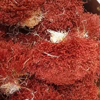 مثقالی فقط ۸۰ت (انواع زعفران و خشکبار)|خوردنی و آشامیدنی|قائن, |دیوار