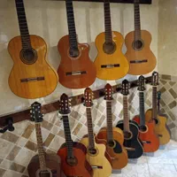 فروش گیتار از مبتدی تا حرفه ای الحمبرا آلمانزا|گیتار، بیس، امپلیفایر|تهران, سهروردی|دیوار
