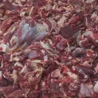 خوردگی و قلوه گاه گوساله جوانه|خوردنی و آشامیدنی|مشهد, هفده شهریور|دیوار
