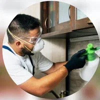 سمپاشی ساس سوسک موریانه کک کنه گال سم موش