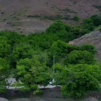 زشک ۸۰۰متر زمین باغی بادرختان گردو (معاوضه خودرو )