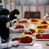 ایجاد شغل دوم مختص بانوان بسته بندی (زعفران)