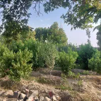 باغ چهاردیوار۵۵۰متری دهشاد شهریار معاوضه با خودرو