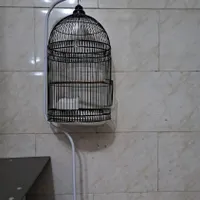قفس پرنده پایه دار