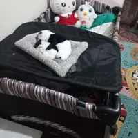 تخت پارک و کالسکه اورفلو مارک خارجی و محکم