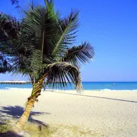 سفرکیش