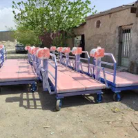 باسکول دیجیتال یک تن و 2 تن چرخدار|فروشگاه و مغازه|ورامین, |دیوار