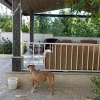 باغ ویلایی 540متر 220بنا در مهرآباد رودهن|فروش خانه و ویلا|رودهن, |دیوار