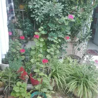 خوابگاه دخترانه کوثر