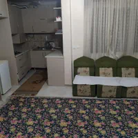 پلیس اجاره دار آپارتمان مستقل مبله/هفته/ماهانه|اجارهٔ کوتاه‌مدت آپارتمان و سوئیت|تهران, ارامنه|دیوار