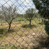 زمین۱۰۰۰متری امکانات قانونی شهرکی (سهیلیه زعفرانیه|فروش زمین و ملک کلنگی|هشتگرد, شهرک سهیلیه|دیوار