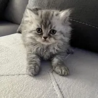 جا ب جا شدنم..واکسن خورده است با شناسنامه