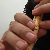آموزش اصولی نی دشتی وبختیاری و چهارمضراب