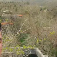 باغ دور دیوار حصار گلستان ۷۱۶ متری ، سند تک برگ ،|فروش خانه و ویلا|طرقبه, |دیوار