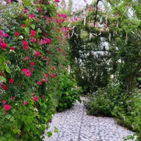 سوئیت جای دنج پر از آرامش|اجارهٔ کوتاه‌مدت ویلا و باغ|قائم‌شهر, |دیوار