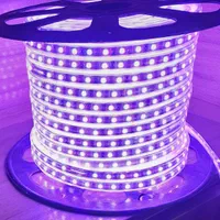 ریسه شلنگی RGB( هفت رنگ) استریپ با ضمانت|ریسه و چراغ تزئینی|قم, نیروگاه|دیوار