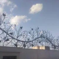 حفاظ روی دیوار بوته خاری شاخ گوزنی آکاردئونی پنجره|خدمات پیشه و مهارت|مشهد, شهرک رازی (شهرک غرب)|دیوار