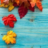 خدمات رنگکاری و نقاشی گلستان(گنبد و کل استان)|خدمات پیشه و مهارت|گنبد کاووس, |دیوار