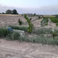 فروش زمین ۵۰۰ متری در فلکه دانشگاه|فروش زمین و ملک کلنگی|اصفهان, امین‌آباد|دیوار