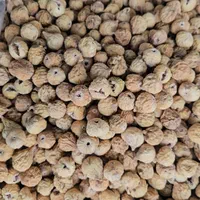 پخش عمده اجیل و خشکبار صدیک|عمده‌فروشی|شیراز, شهرک صنعتی|دیوار