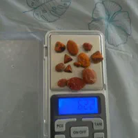 سنگ صفرا گاو در سراسر کشور خریداریم|بدلیجات|تهران, مهران (سیدخندان)|دیوار