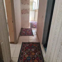 آپارتمان یک خوابه مبله در فرگاز|اجارهٔ کوتاه‌مدت آپارتمان و سوئیت|شیراز, عادل آباد|دیوار