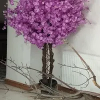 درختچه شکوفه مصنوعی|گل مصنوعی|اسلام‌شهر, |دیوار