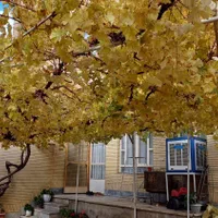 سوییت مبله حیاطدار در شهرکردو پارکینگ روباز|اجارهٔ کوتاه‌مدت آپارتمان و سوئیت|شهرکرد, |دیوار