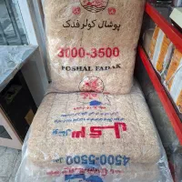 پمپ اب کولر پوشال کولر تسمه کولر و تمام لوازم کولر|کولر آبی|مشهد, شفا|دیوار
