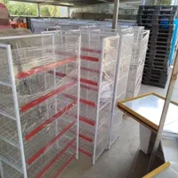 استند هایپری ۲در۱ با ۶طبقه پروفیلی|فروشگاه و مغازه|رباط‌کریم, |دیوار